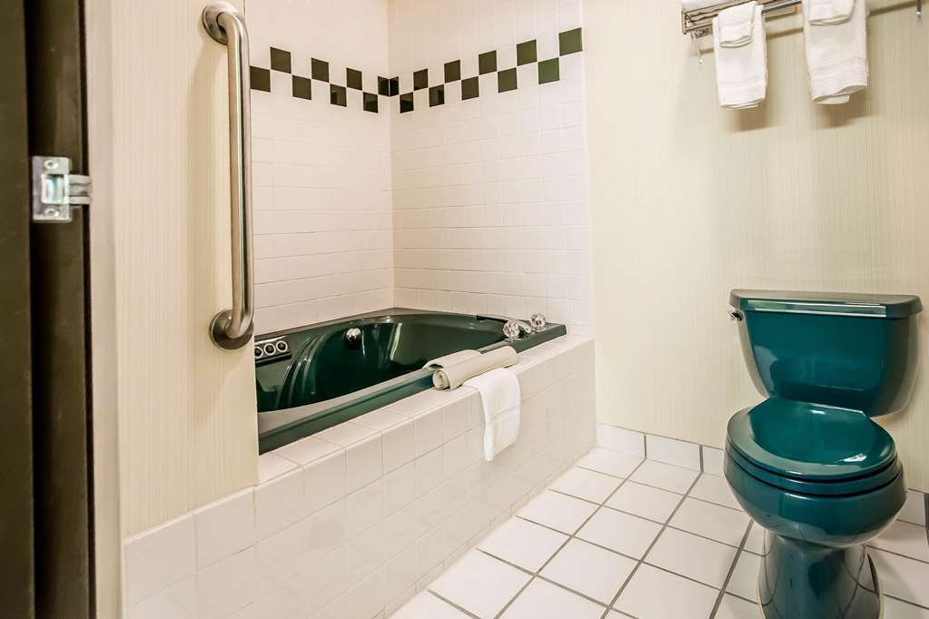 Quality Inn & Suites Mendota Near I-39 Pokoj fotografie