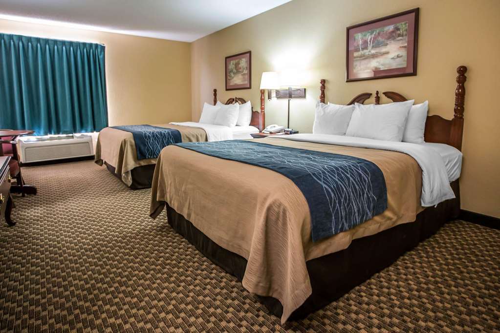 Quality Inn & Suites Mendota Near I-39 Pokoj fotografie